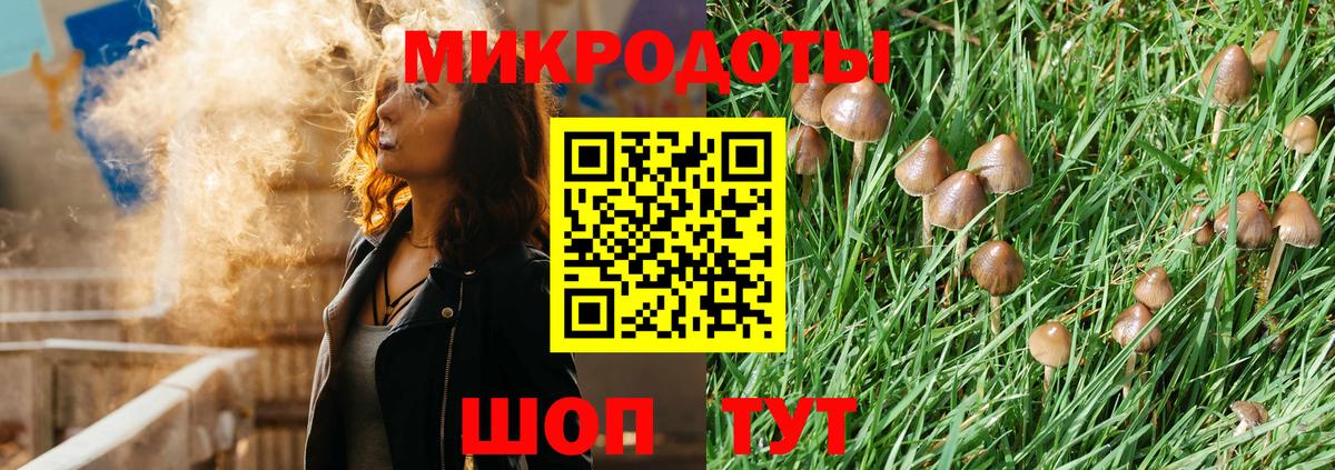 Галлюциногенные грибы Cubensis Елец