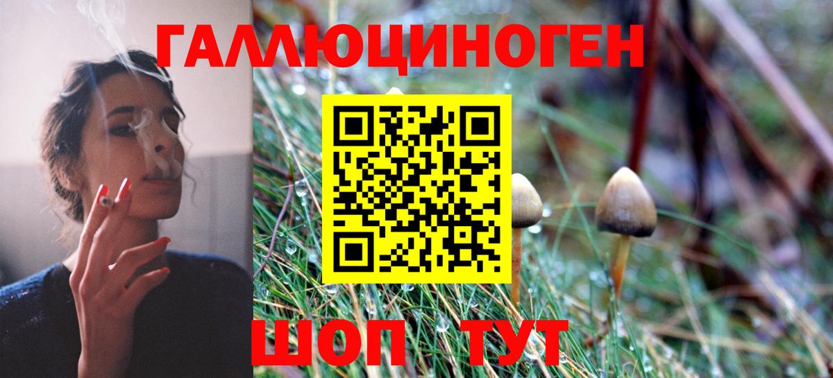 Галлюциногенные грибы Psilocybine cubensis  цены наркотик  Елец  Вход с VPN 